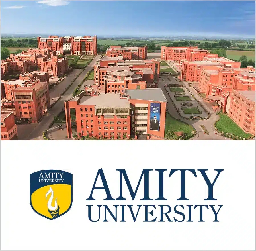 2. Amity University